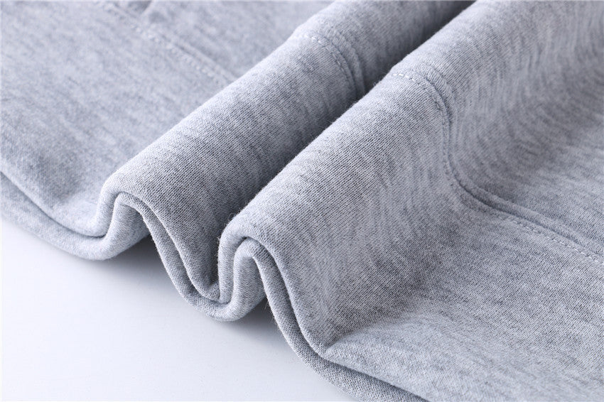 Custom Logo OEM -Hoodies Heavey Weight 450gsm Cotton with your logo on it --CS8001